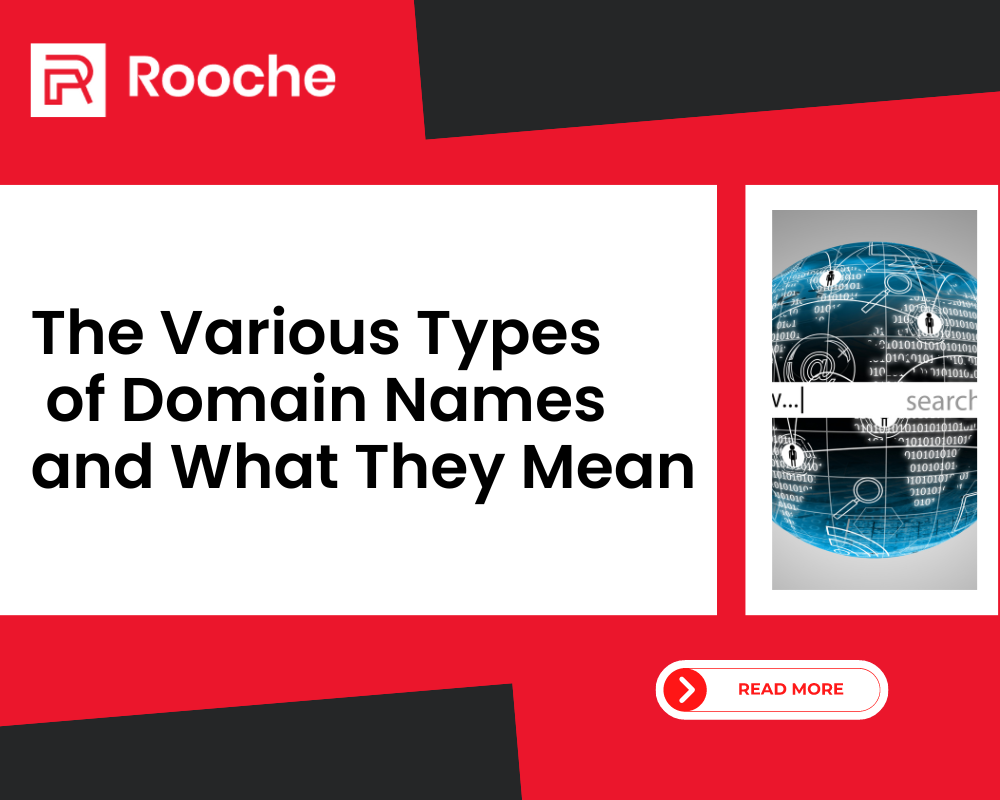 The Various Types of Domain Names and What They Mean - Rooche Digital