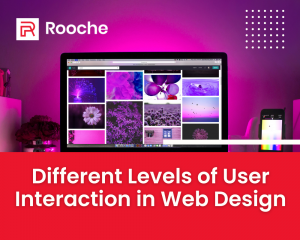 Different Levels of User Interactive Web Design